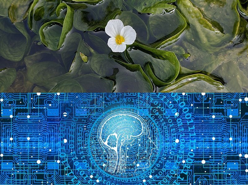 快速軟件開發平臺