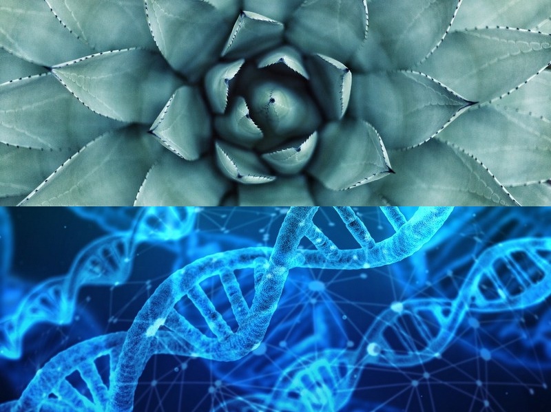 空調扇的原理是什么？