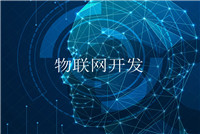 軟件開發方案服務型公司為什么在國內會比較吃香？