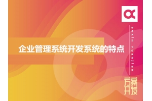 企業管理系統開發系統的特點有哪些呢？
